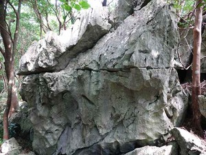 DSC05474_R