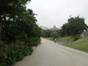 DSC08061_R