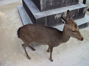 IMG_1529_R