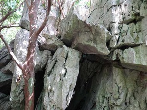 DSC05464_R