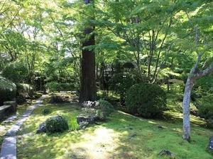 IMG_0550_R