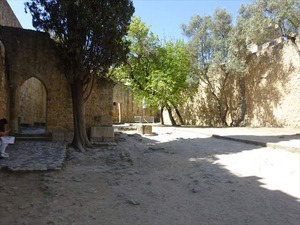 DSC07495_R