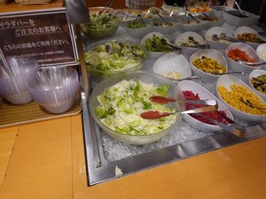 DSC04169_R