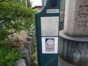 DSC07716_R
