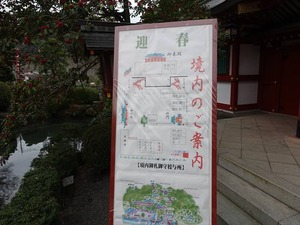 DSC05784_R