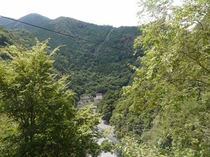 DSC06175_R