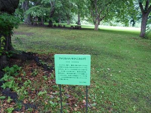 DSC09315_R