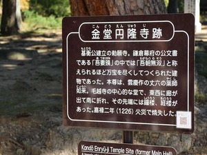 IMG_0961_R