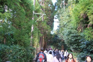 IMG_8910