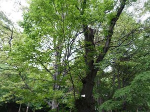 DSC09316_R