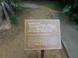 DSC08059_R