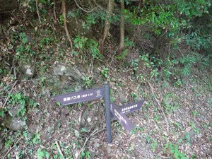 DSC06439_R