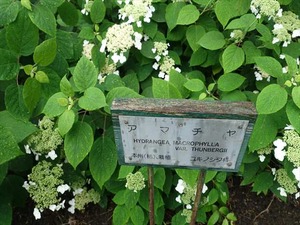 DSC09290_R