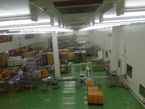 DSC08499_R