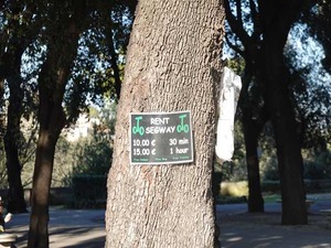 DSC03133_R