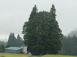 DSC08658_R