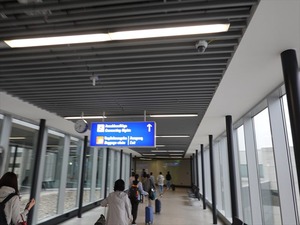 DSC00333_R