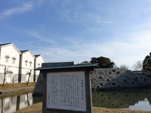 DSC08555_R