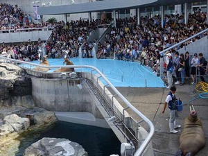DSC05721_R