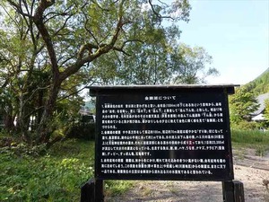 DSC05383_R