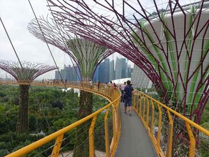 DSC08179_R