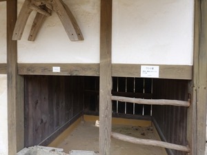DSC04442_R