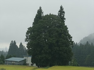 DSC08662_R