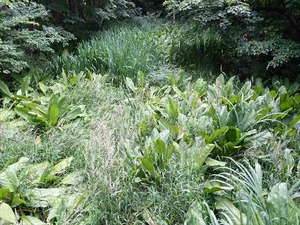 DSC09320_R