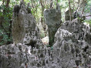 DSC05470_R