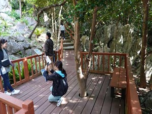 DSC05491_R