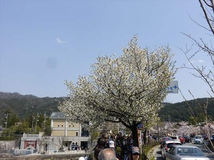DSC09308_R