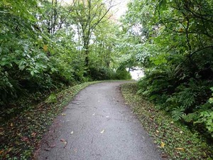 DSC08768_R