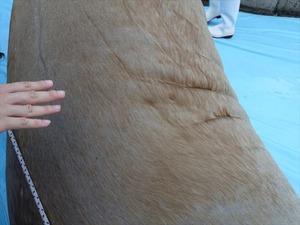 DSC05757_R