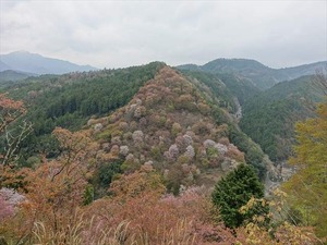 DSC08986_R