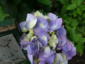 DSC09296_R