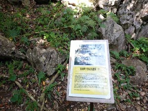 DSC05458_R