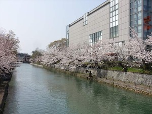 DSC09295_R