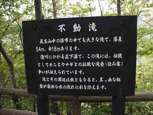 IMG_1036_R