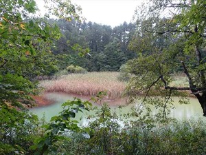 DSC08742_R