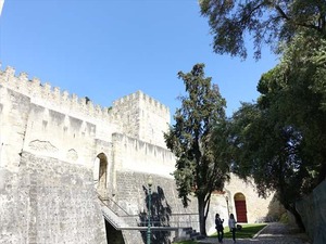 DSC07513_R