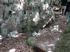 DSC05499_R