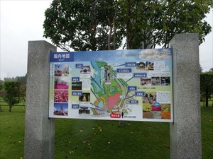 DSC08583_R