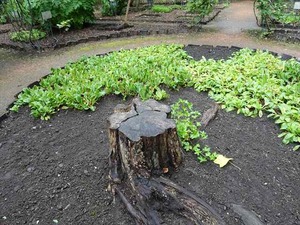DSC09333_R