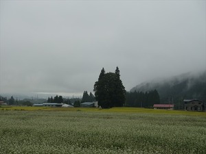 DSC08661_R