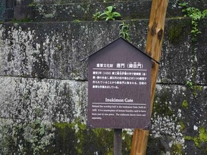 DSC08376_R