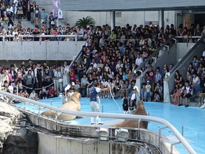 DSC05744_R