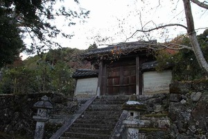 IMG_8944