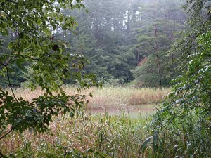 DSC08739_R