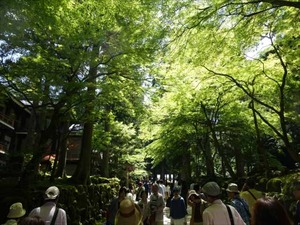 DSC05172_R
