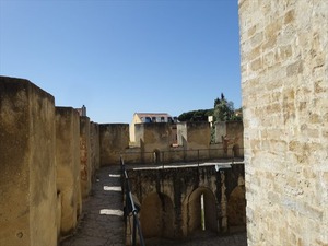 DSC07488_R